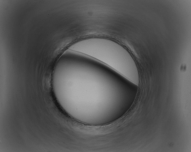X0000090410023200707130935