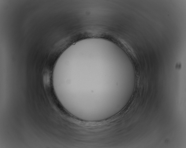 X0000090410026200707130934