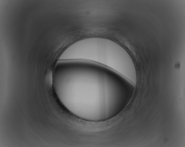 X0000090410027200707130934