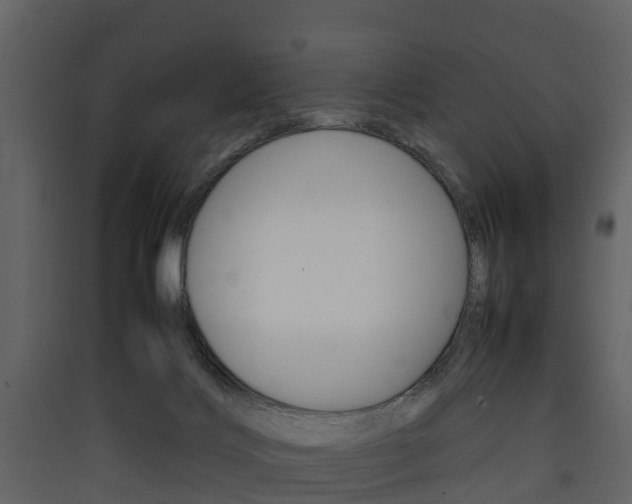 X0000090410028200707130934