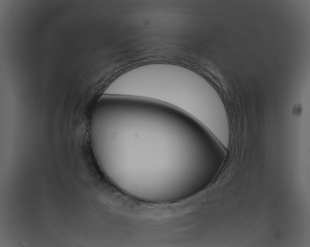 X0000090410029200707130934