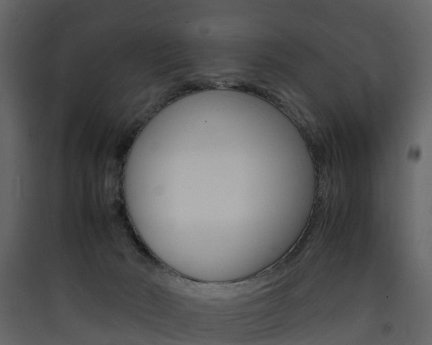 X0000090410030200707130934