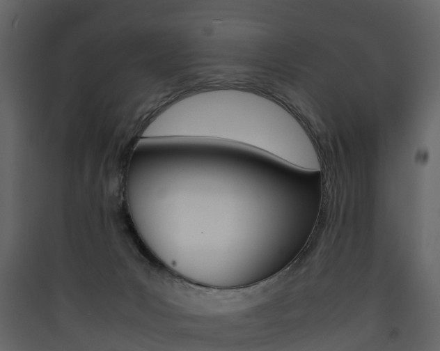 X0000090410031200707130934