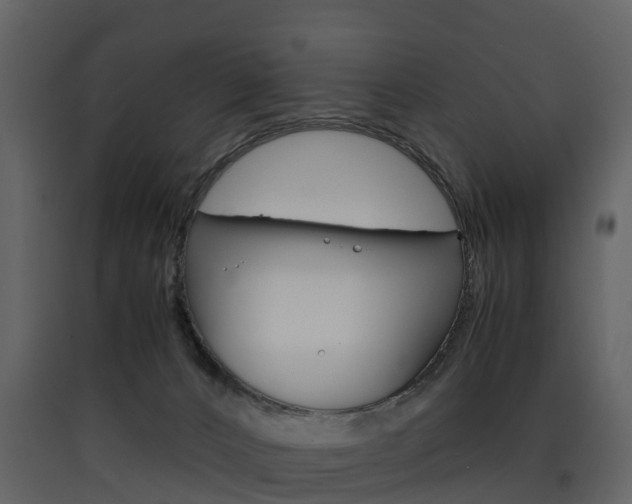 X0000090410032200707130934