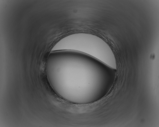 X0000090410033200707130934