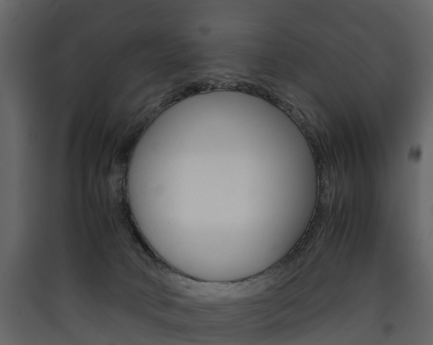 X0000090410034200707130934