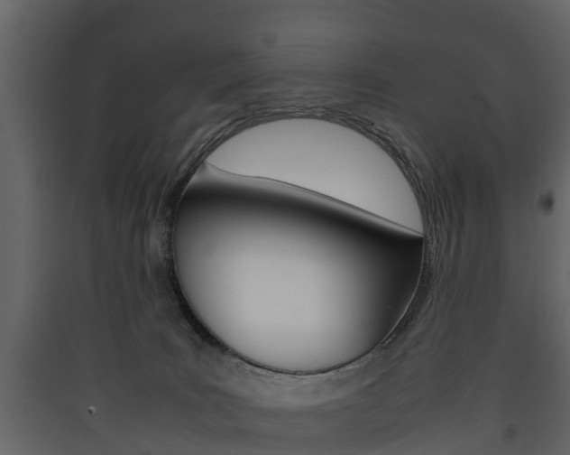 X0000090410035200707130934