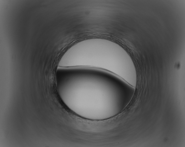 X0000090410039200707130934