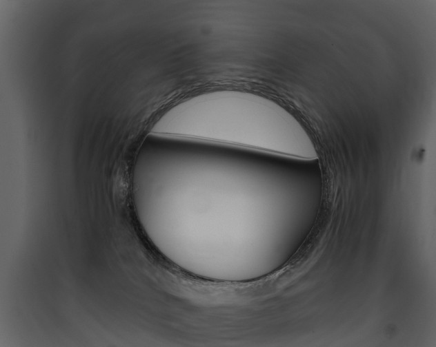 X0000090410040200707130934
