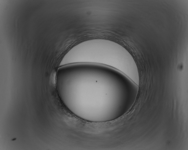 X0000090410041200707130934