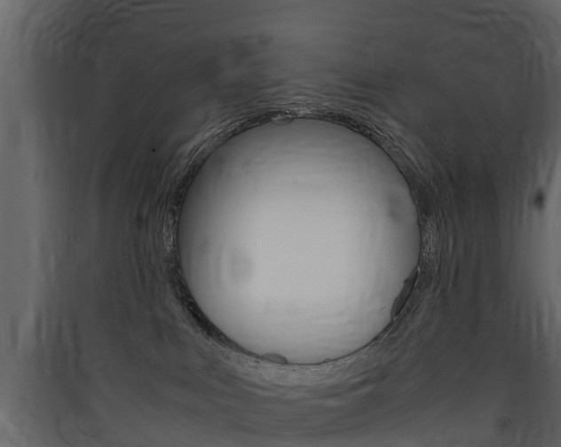 X0000090410043200707130934