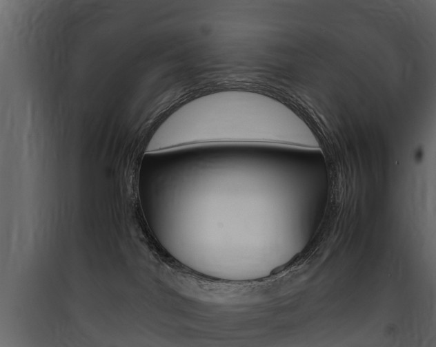 X0000090410044200707130934