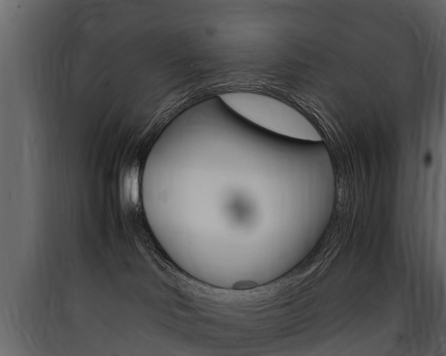 X0000090410046200707130934