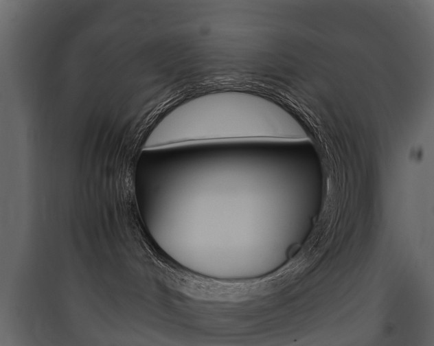 X0000090410048200707130934