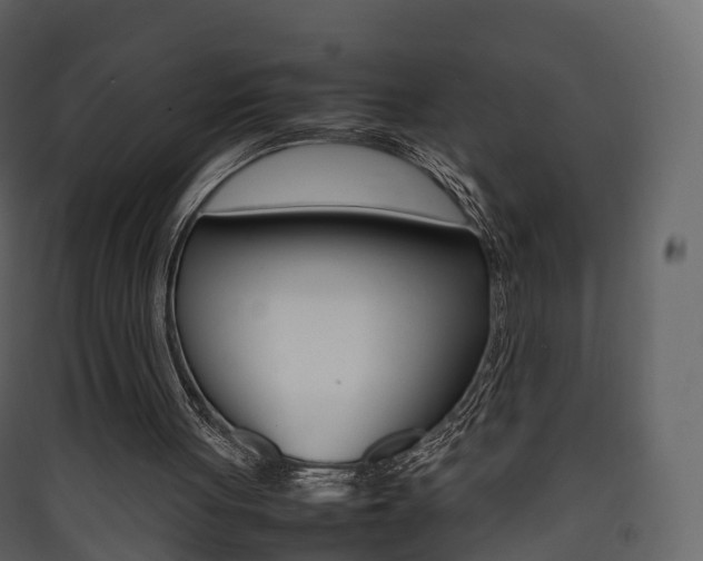 X0000090410051200707130933