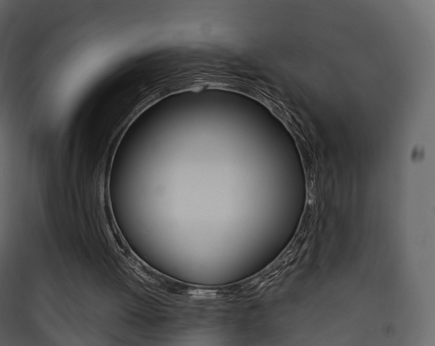 X0000090410052200707130933