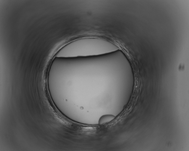X0000090410053200707130933