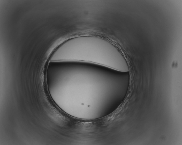 X0000090410054200707130933