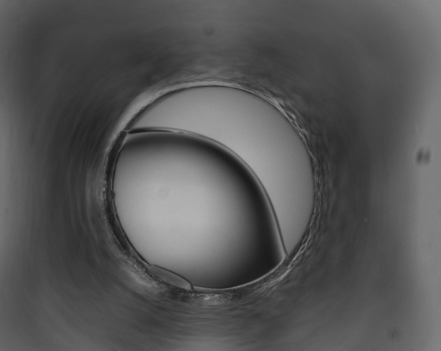 X0000090410056200707130934