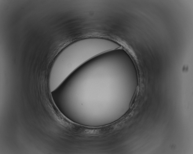 X0000090410057200707130934