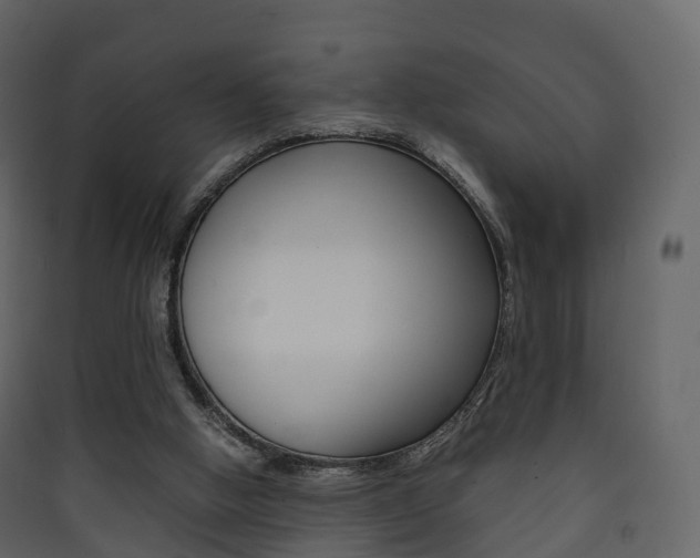 X0000090410058200707130934