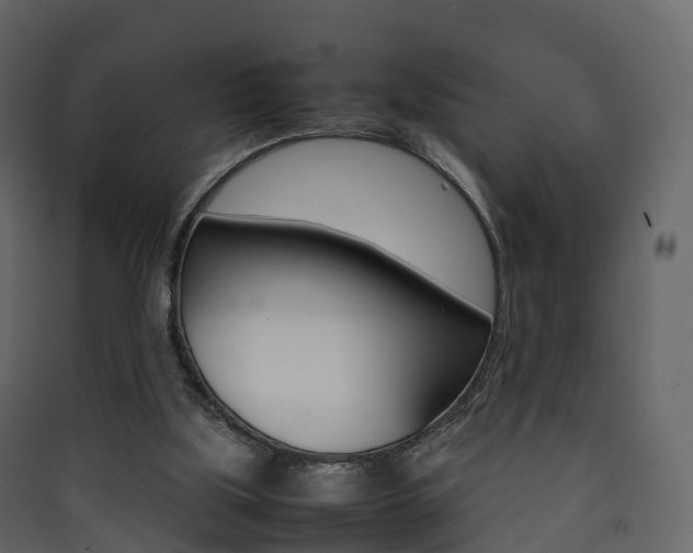 X0000090410059200707130934