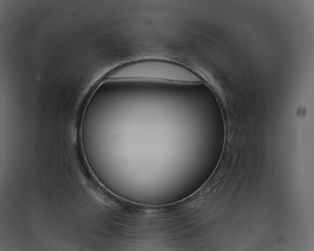X0000090410060200707130934