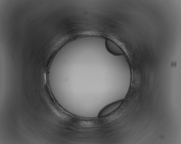 X0000090410061200707130934