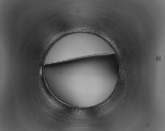 X0000090410062200707130934