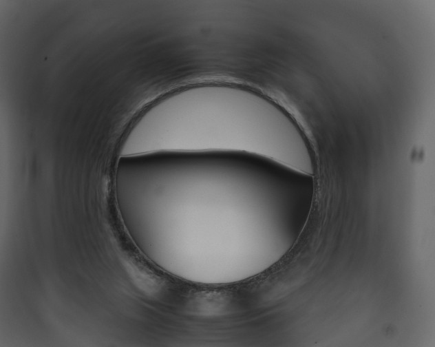 X0000090410063200707130934
