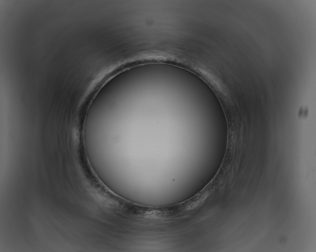 X0000090410064200707130934