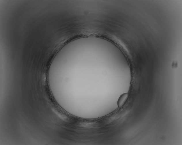 X0000090410065200707130934