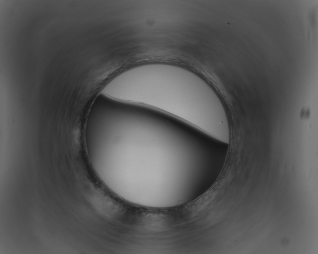 X0000090410066200707130934