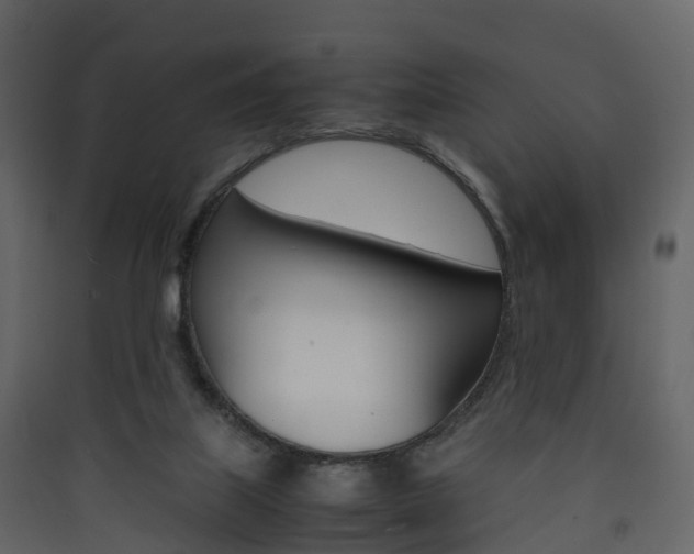 X0000090410067200707130934