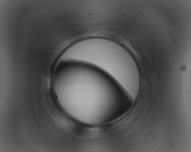 X0000090410068200707130934