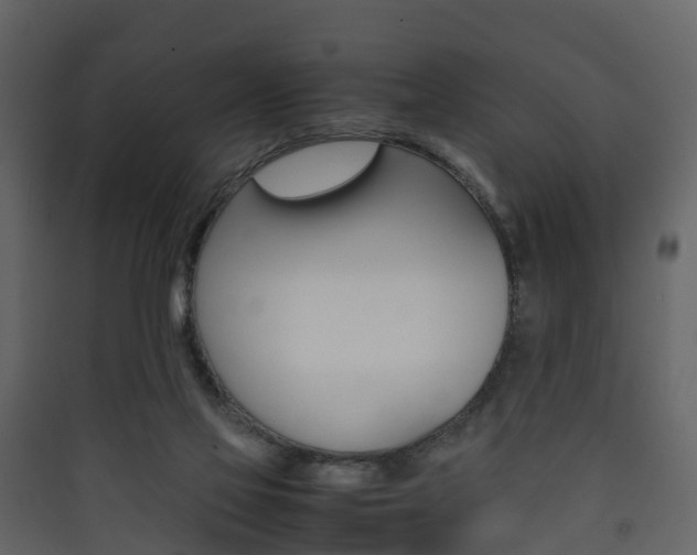 X0000090410069200707130934