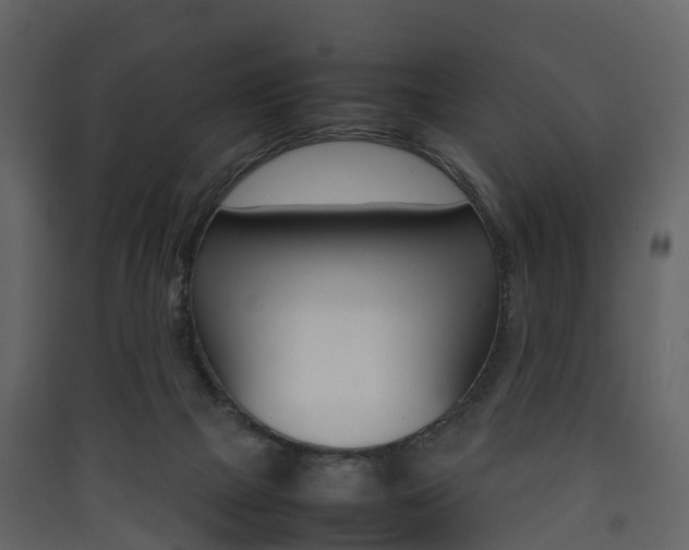 X0000090410073200707130934