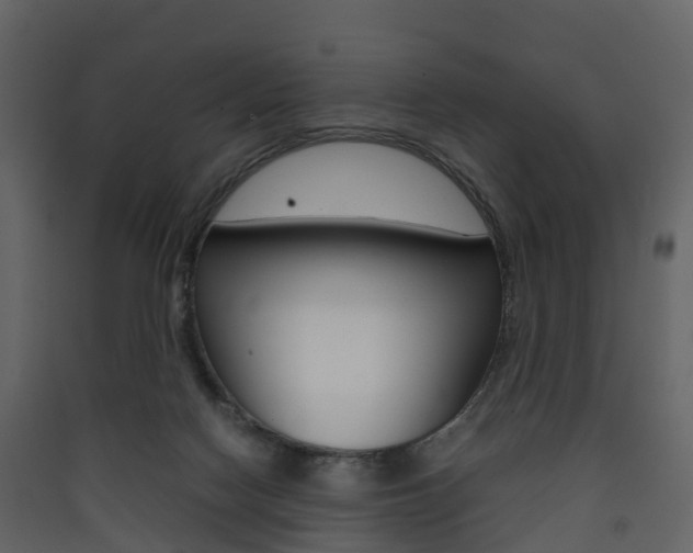 X0000090410074200707130934