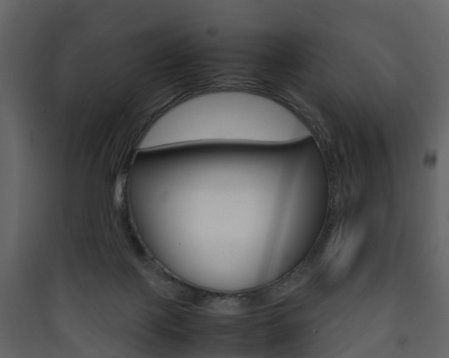 X0000090410075200707130934