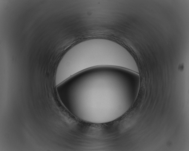 X0000090410076200707130934