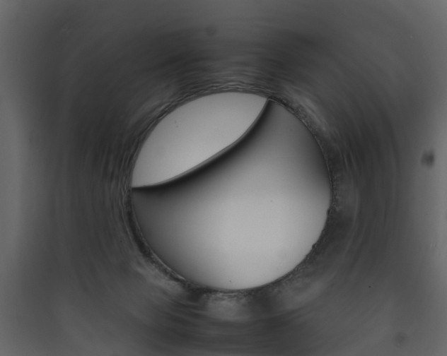 X0000090410077200707130934