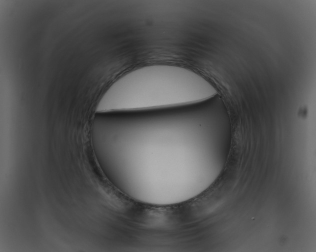 X0000090410079200707130934