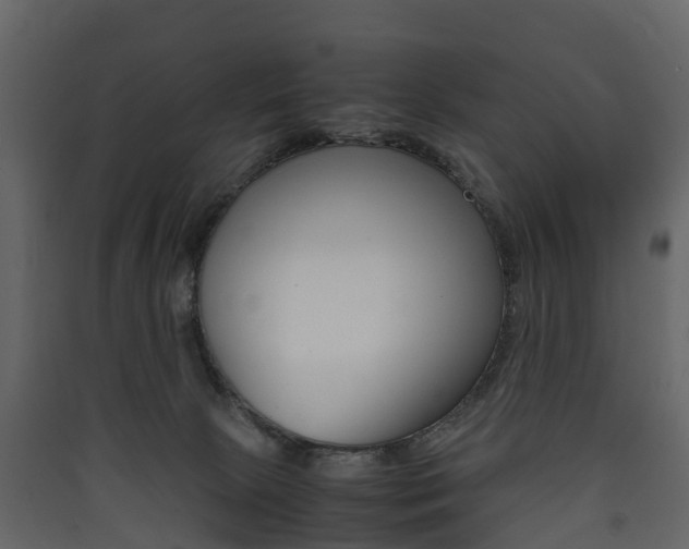 X0000090410081200707130934