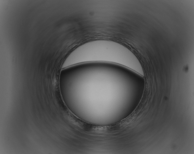 X0000090410084200707130934