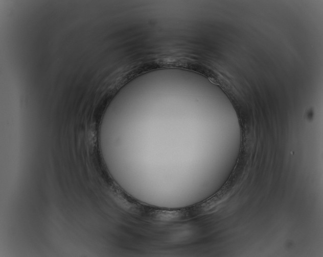X0000090410085200707130934