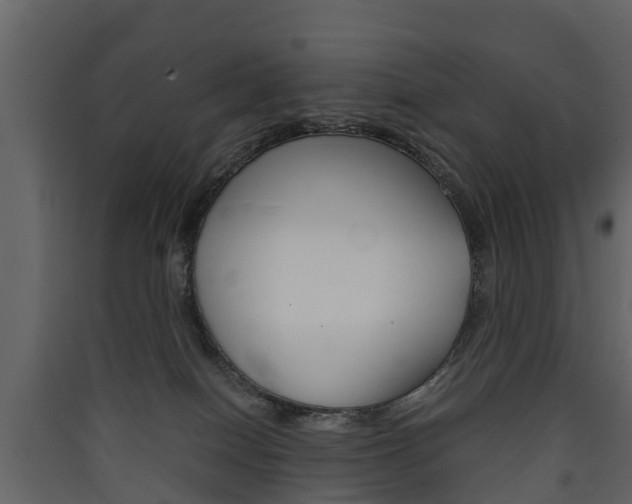X0000090410086200707130934