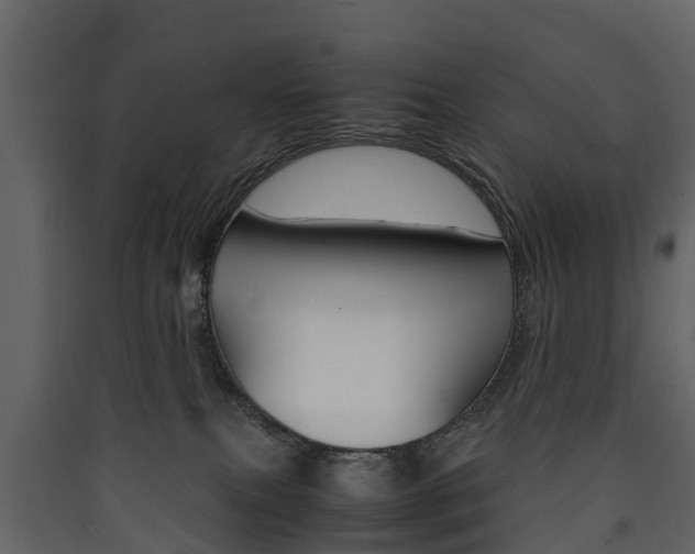 X0000090410087200707130934