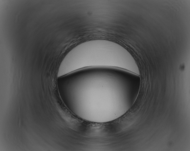 X0000090410088200707130934