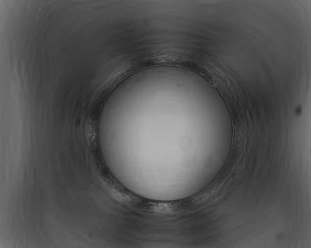 X0000090410091200707130934