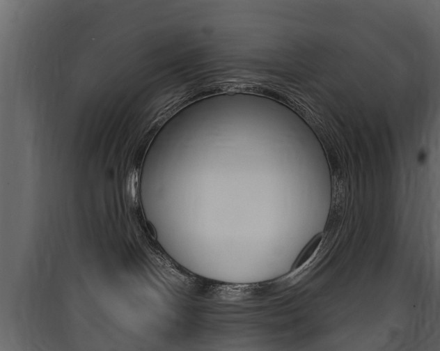 X0000090410094200707130934